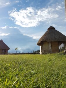 hut, shelter, nature, africa, cameroon, sustainability, traditional, cameroon, cameroon, cameroon, cameroon, cameroon