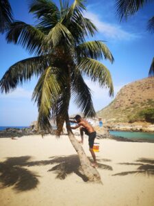 A man climbing a palm tree on the sandy beach of Tarrafal, Cabo Verde.