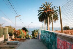 A vibrant street view in Las Cruces, Chile, with palm trees and ocean in the background.