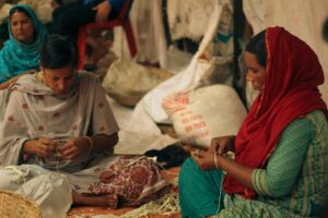 Free stock photo of bangladesg, dhaka, flower