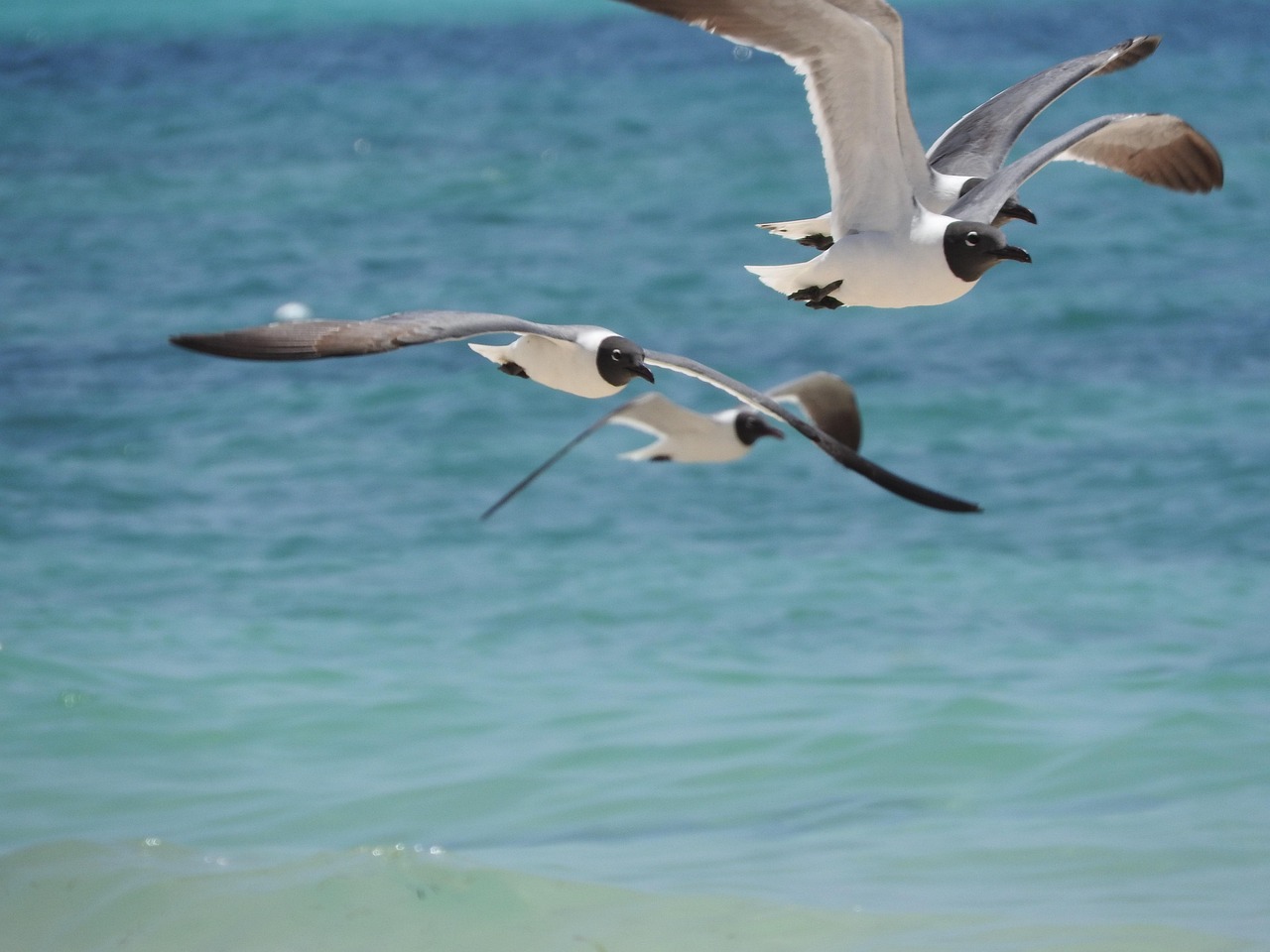 Bahamas: Crypto’s Island Gem?