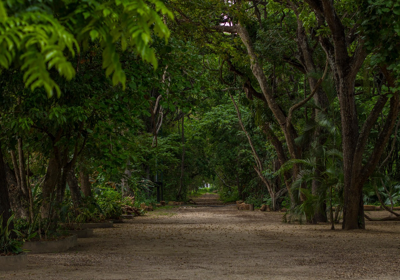 Venezuela: 10 Mind-Blowing Facts You Won’t Believe!