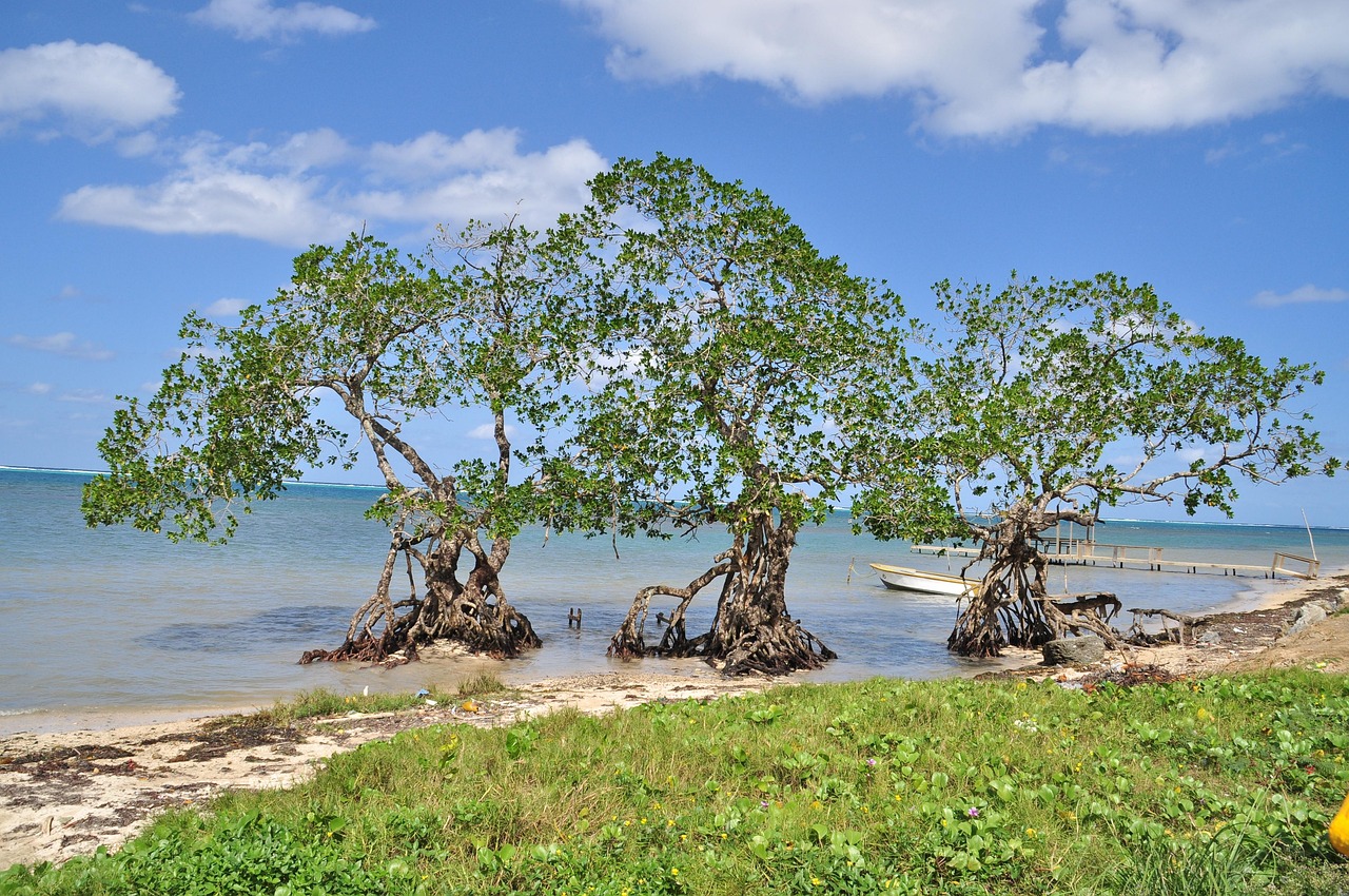 Honduras: Beyond the Headlines